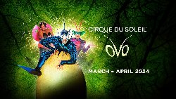 Cirque du Soleil: OVO at Utilita Arena Birmingham in Birmingham